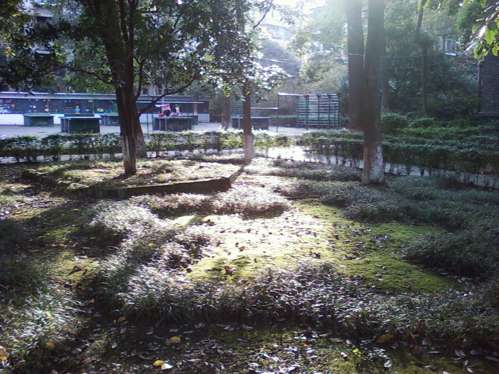 日照城市或区域风景